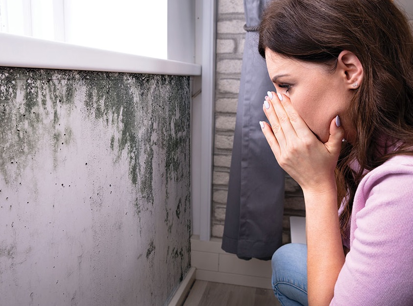 Mold The Silent Health Threat